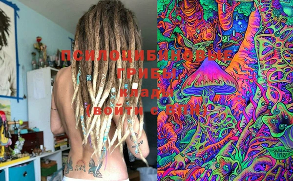 ECSTASY Медвежьегорск