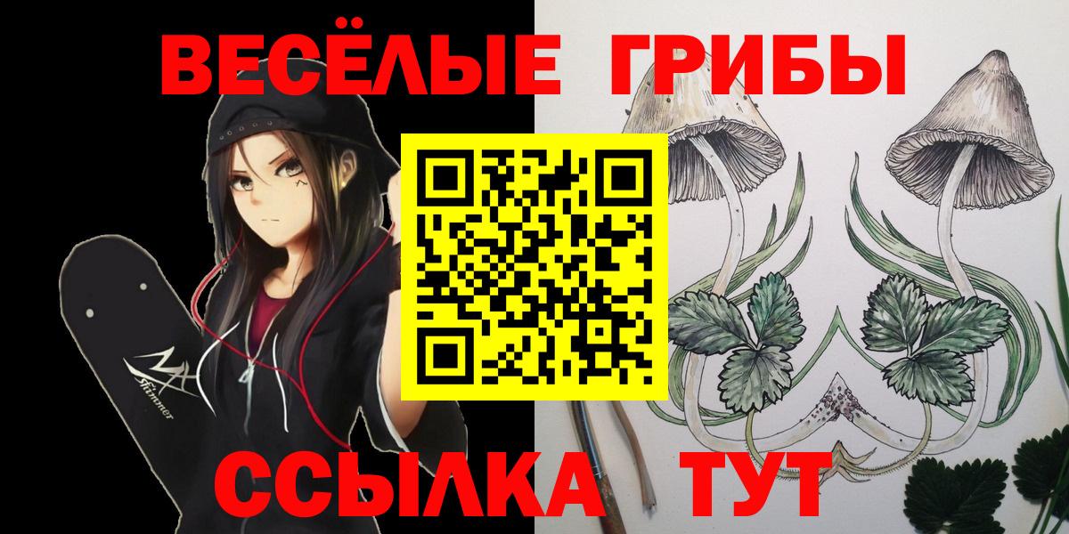 Севастополь  Галлюциногенные грибы Psilocybe  Вход с VPN 