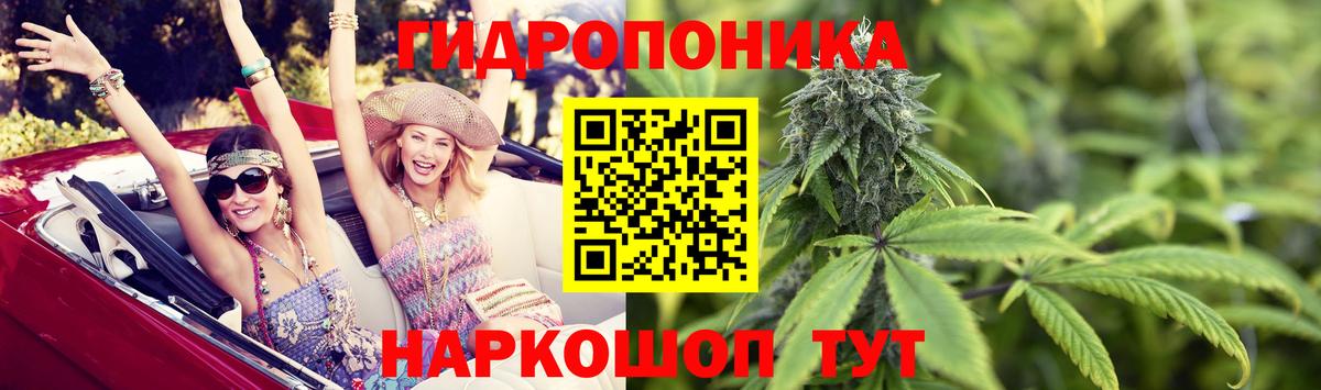 Марихуана Ganja  Канабис семена  Марихуана OG Kush  Конопля THC 21%  Севастополь  Вход с VPN 